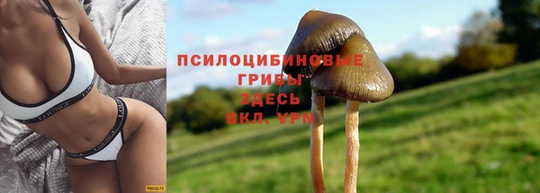 первитин Абаза